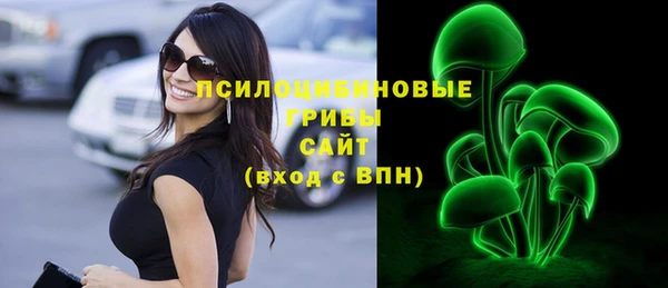 ГАЛЛЮЦИНОГЕННЫЕ ГРИБЫ Абинск