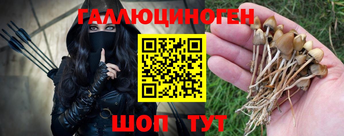 Кулебаки  Псилоцибиновые грибы мухоморы  Вход с VPN 